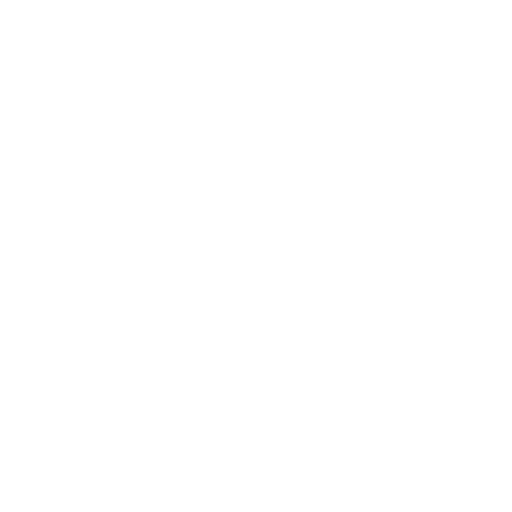 Servidor